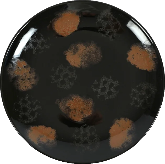 Zwart servies: Jasper dinerbord