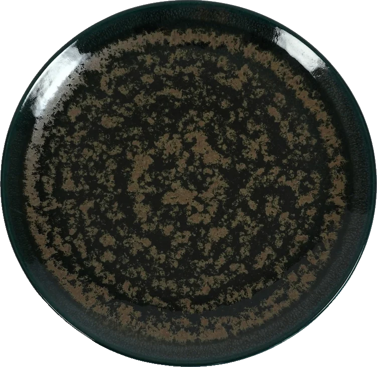 Groen servies: Nero Green dinerbord