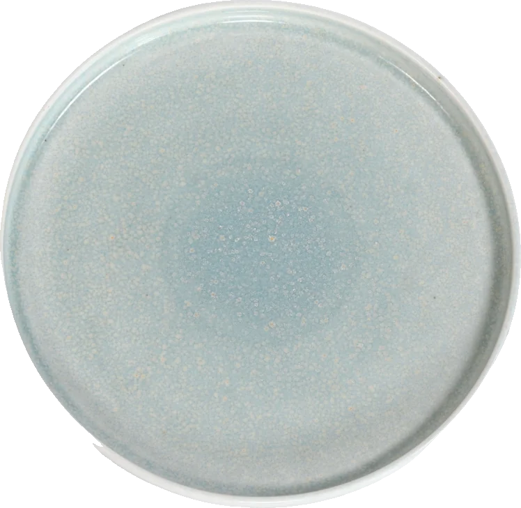 Turquoise dinerbord